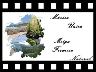 Máxica
Única
Meiga
Fermosa
Natural