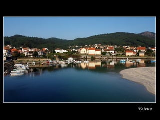 Esteiro
 