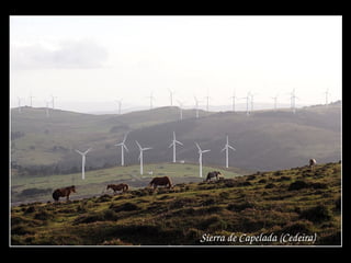 Sierra de Capelada (Cedeira)
 