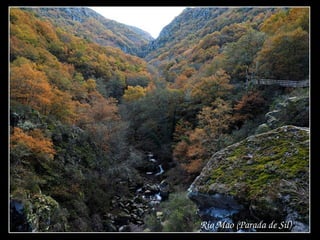 Rio Mao (Parada de Sil)
 