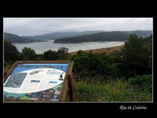 Ría de Cedeira
 