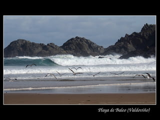 Playa de Baleo (Valdoviño)
 