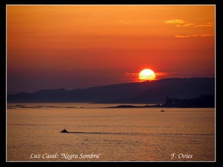 Luz Casal: "Negra Sombra"                                           F. Ovies
 