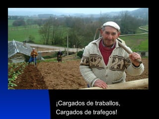 ¡Cargados de traballos, Cargados de trafegos! 