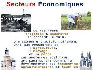 Secteurs Économiques
 