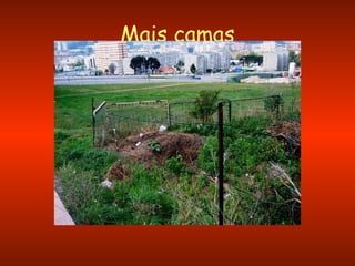 Mais camas 