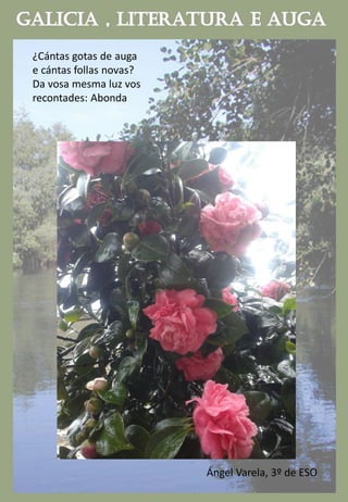¿Cántas gotas de auga
e cántas follas novas?
Da vosa mesma luz vos
recontades: Abonda
Ángel Varela, 3º de ESO
 