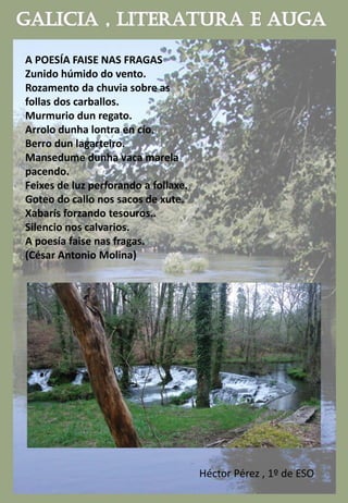 A POESÍA FAISE NAS FRAGAS
Zunido húmido do vento.
Rozamento da chuvia sobre as
follas dos carballos.
Murmurio dun regato.
Arrolo dunha lontra en cío.
Berro dun lagarteiro.
Mansedume dunha vaca marela
pacendo.
Feixes de luz perforando a follaxe.
Goteo do callo nos sacos de xute.
Xabarís forzando tesouros..
Silencio nos calvarios.
A poesía faise nas fragas.
(César Antonio Molina)
Héctor Pérez , 1º de ESO
 