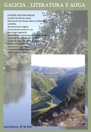 A POESÍA FAISE NAS FRAGAS
Zunido húmido do vento.
Rozamento da chuvia sobre as follas dos
carballos.
Murmurio dun regato.
Arrolo dunha lontra en cío.
Berro dun lagarteiro.
Mansedume dunha vaca marela pacendo.
Feixes de luz perforando a follaxe.
Goteo do callo nos sacos de xute.
Xabarís forzando tesouros..
Silencio nos calvarios.
A poesía faise nas fragas.
(César Antonio Molina)
Lara Gómez, 4º de ESO
 