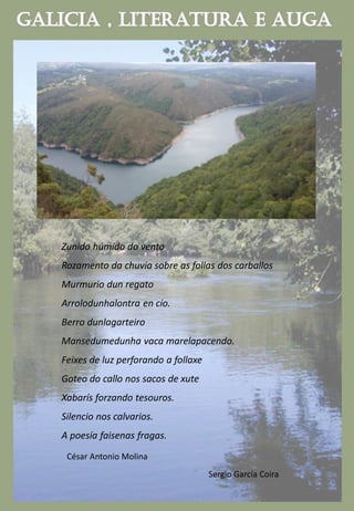 Zunido húmido do vento
Rozamento da chuvia sobre as follas dos carballos
Murmurio dun regato
Arrolodunhalontra en cío.
Berro dunlagarteiro
Mansedumedunha vaca marelapacendo.
Feixes de luz perforando a follaxe
Goteo do callo nos sacos de xute
Xabarís forzando tesouros.
Silencio nos calvarios.
A poesía faisenas fragas.
César Antonio Molina
Sergio García Coira
 