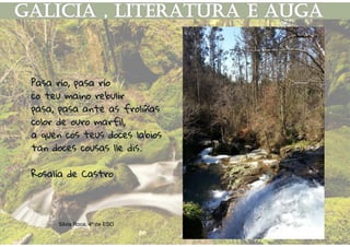 Pasa río, pasa río
co teu maino rebulir
pasa, pasa ante as froliñas
color de ouro marfil,
a quen cos teus doces labios
tan doces cousas lle dis.
Rosalía de Castro
Silvia Roca, 4º de ESO
 