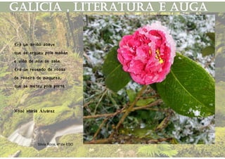 Silvia Roca, 4º de ESO
Era un airiño soave
que se ergueu pola mañán
e viña de non se sabe.
Era un recendo de rosas
de roseira de ningures,
que se meteu pola porta.
Xosé María Álvarez
 