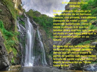 A Ferbenza do Toxa  (Silleda) Es una cascada situada en lo más profundo de un hermoso bosque, con pinares, carballeiras (b...