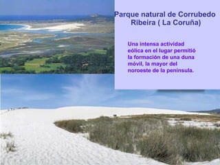 Parque natural de Corrubedo  Ribeira ( La Coruña) Una intensa actividad eólica en el lugar permitió la formación de una duna móvil, la mayor del noroeste de la península. 