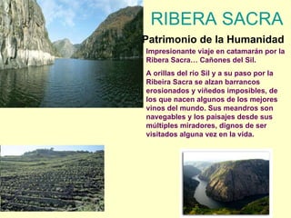 Impresionante viaje en catamarán por la Ribera Sacra… Cañones del Sil. A orillas del río Sil y a su paso por la Ribeira Sacra se alzan barrancos erosionados y viñedos imposibles, de los que nacen algunos de los mejores vinos del mundo. Sus meandros son navegables y los paisajes desde sus múltiples miradores, dignos de ser visitados alguna vez en la vida. RIBERA SACRA  Patrimonio de la Humanidad   