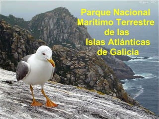 Parque Nacional  Marítimo Terrestre  de las  Islas Atlánticas  de Galicia 
