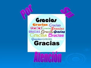 Por Su Atención 