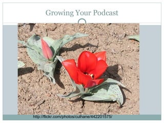 Growing Your Podcast http://flickr.com/photos/culhane/442201575/ 