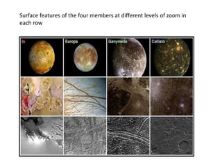 Surface features of the four members at different levels of zoom in
each row
 
