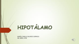 HIPOTÁLAMO
MARÍA CAMILA GALINDO GARNICA
08/ ABRIL/ 2018
 