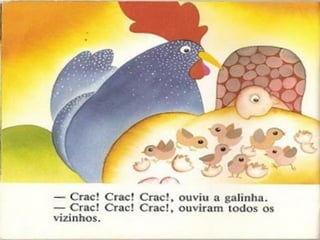 Galinha choca