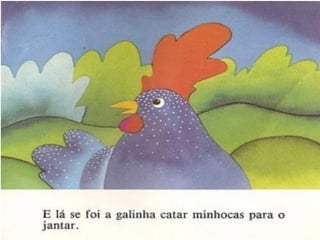 Galinha choca