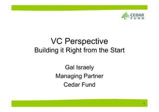 VC Perspective
Building it Right from the Start

         Gal Israely
       Managing Partner
         Cedar Fund

                                   1
 