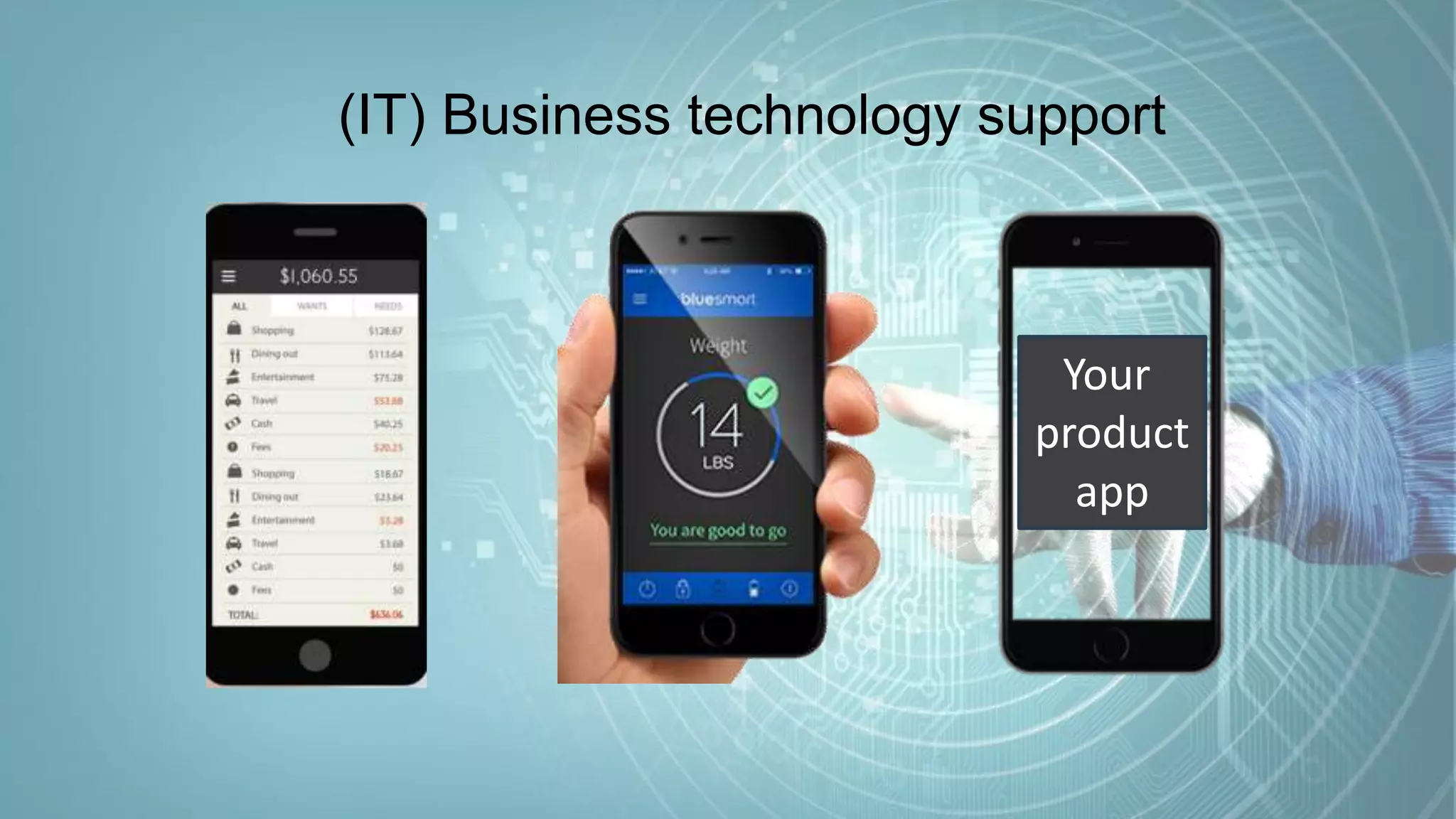 Galit Fein’s work Copyright@2016. Do not remove source or attribution from any slide or graph.
5
(IT) Business technology support
Your
product
app
 
