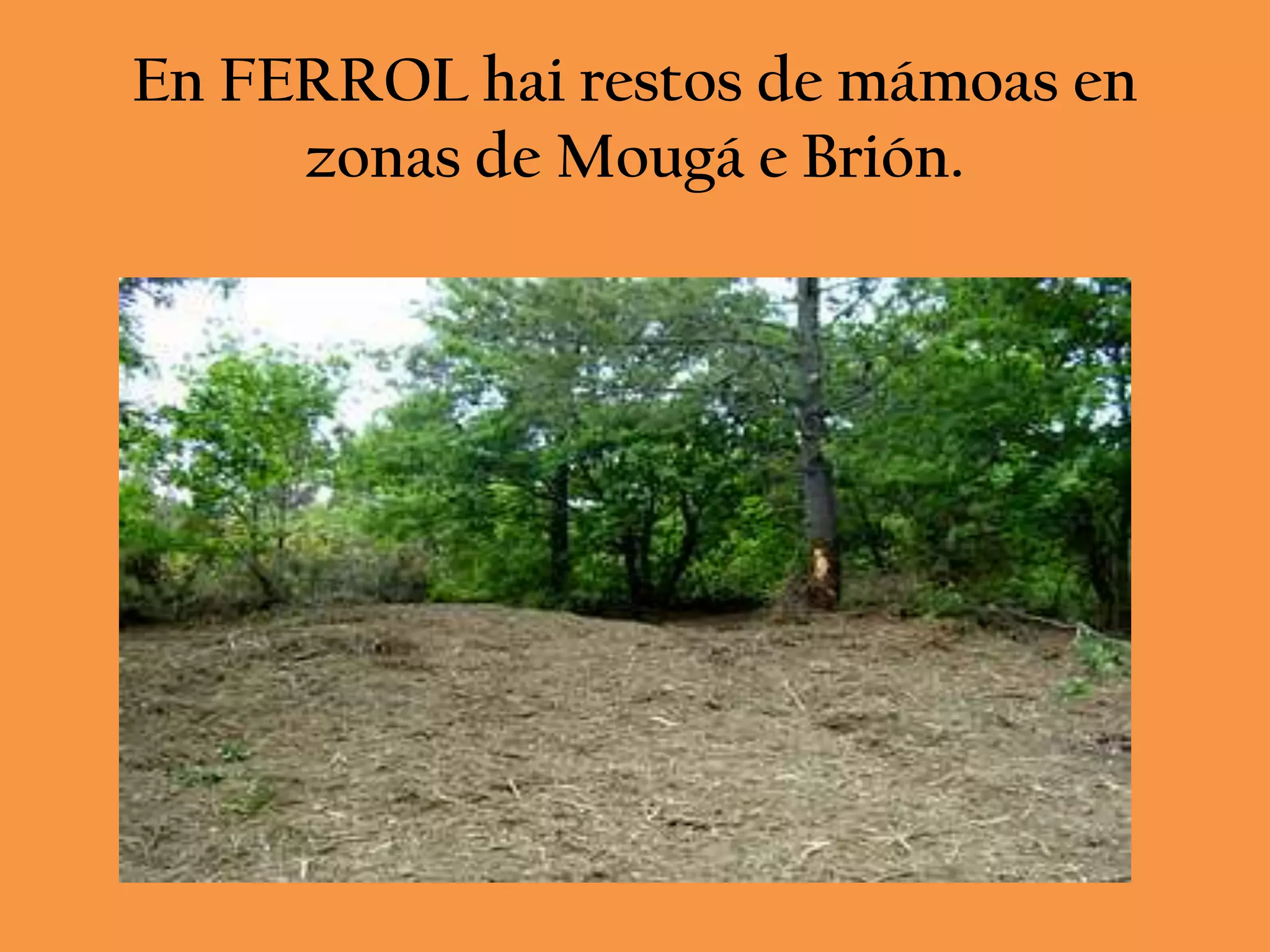 En FERROL hai restos de mámoas en
     zonas de Mougá e Brión.
 