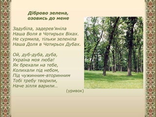 Діброво зелена,
озовись до мене
Задубіла, задерев’яніла
Наша Воля в Чотирьох Віках.
Не сурмила, тільки зеленіла
Наша Доля в Чотирьох Дубах.
Ой, дуб-дуба, дуба,
Україна моя люба!
Як брехали на тебе,
Колихали під небом,
Під чужинним-вторинним
Тобі требу творили,
Наче зілля варили…
(уривок)
 