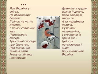 ***
Моя Вкраїна у
снігах.
На обважнілих
берегах
Її річок не чутно
птаства,
І тільки спалахом
зорі
Перелітають
снігурі, –
Тремтливі спогади
про братство,
Про пісню, що
текла в світи
Розкуто, вільно,
невмирущо,
Дзвеніла в грудях
дужче й дужче,
Коли співав зі
мною ти.
А та незаймана
калина,
Сузір’ями
палахкотіла,
І струменів із
грона сік…
Цей сон
потьмарився і
зник,
Бо у снігах моя
Вкраїна.
 