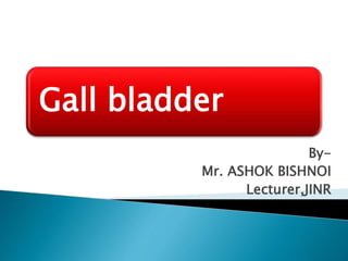 Gall bladder
By-
Mr. ASHOK BISHNOI
Lecturer,JINR
 