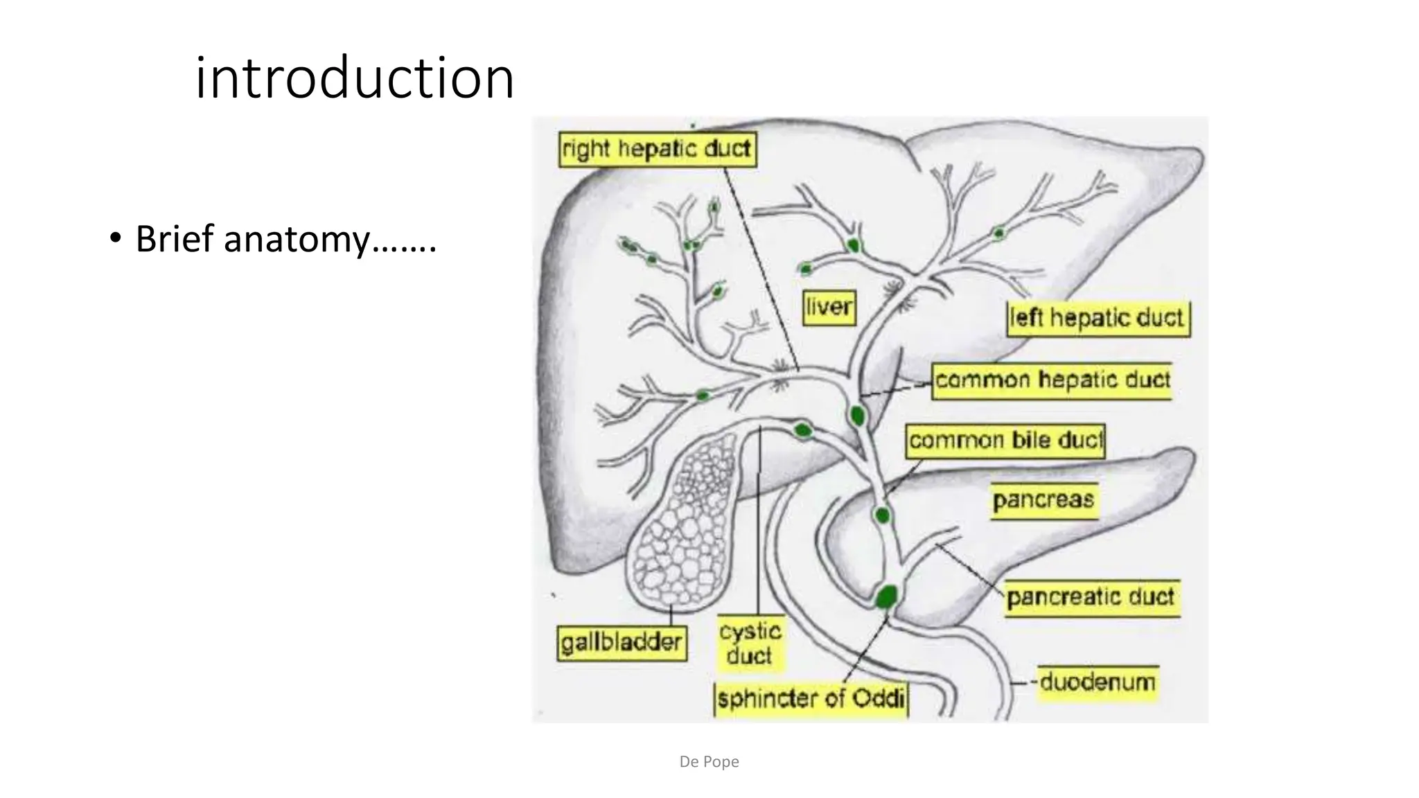 gallbladder.pptx