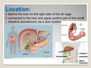 Gallbladder 11182011 | PPTX