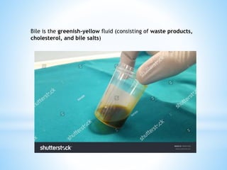GALLBLADDER AND BILE (2).pptx