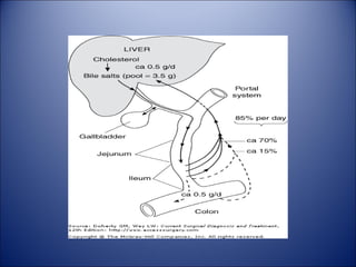 Gallbladder and extrahepatic biliary system | PPT
