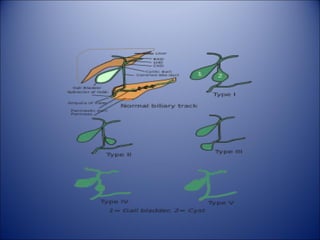 Gallbladder and extrahepatic biliary system | PPT