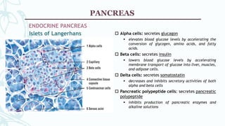 HISTOLOGY - Gallbladder and Pancreas | PPTX