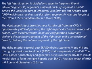 The left lateral section is divided into superior (segment II) and
inferior(segment III) segments. Union of ducts of segment II and III
behind the umbilical part of left portal vein form the left hepatic duct
(LHD) which then receives the duct from segment IV. Average length of
the LHD is 1.7 cm and diameter is 3.0 mm (1.08).
The right hepatic duct branches near its take off from the CHD. In
approximately 60% of patients, the right hepatic duct has a dorsocaudal
branch, with a characteristic hook-like configuration proximally,
draining the posterior segment of the right lobe, and a ventrocranial
branch, draining the anterior segment of the right lobe.
The right anterior sectoral duct (RASD) drains segments V and VIII and
the right posterior sectoral duct (RPSD) drains segments VI and VII. The
RPSD passes horizontally and generally curves round the RASD to join its
medial side to form the right hepatic duct (RHD). Average length of RHD
is 0.9 cm and diameter is 2.6 mm.
 