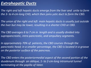 Extrahepatic Ducts
The right and left hepatic ducts emerge from the liver and unite to form
the 3- to 4-cm-long CHD, which then joins ystic duct to form the CBD.
The union of the right and left main hepatic ducts is usually just outside
the liver but may be lower, resulting in a shorter CHD or CBD.
The CBD averages 6 to 7 cm in length and is usually divided into
suprapancreatic, intra-pancreatic, and ampullary segments.
In approximately 70% of patients, the CBD courses through the
pancreatic head; in a smaller percentage, the CBD is located in a groove
on the posterior surface of the pancreas.
The CBD enters the posteriormedial aspect of the second portion of the
duodenum through an oblique, 1- to 2-cm-long intramural tunnel
terminating at the papilla of Vater.
 