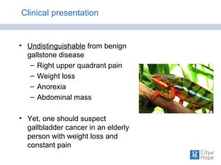 Clinical presentation
• Undistinguishable from benign
gallstone disease
– Right upper quadrant pain
– Weight loss
– Anorexia
– Abdominal mass
• Yet, one should suspect
gallbladder cancer in an elderly
person with weight loss and
constant pain
 