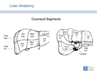 Couinaud Segments
Liver Anatomy
 
