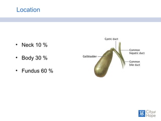 Location
• Neck 10 %
• Body 30 %
• Fundus 60 %
 