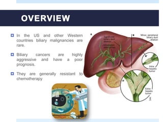  In the US and other Western
countries biliary malignancies are
rare.
 Biliary cancers are highly
aggressive and have a poor
prognosis.
 They are generally resistant to
chemotherapy
 