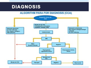 ALGORITHM PARA FOR DIAGNOSIS (CCA)
Estenosis dominante
CA 19-9 >129 U/mL
Pos. biopsia, citología o
FISH polisomia
Preocupación mínima
clínica
Menejo de CCA
Observación
Niveles de CA 19-9
Colangiografía endoscópica
(cepillado, citología, FISH)
Indeterminado
Sospecha clínica de
CCA
MRI
Negativo
Preocupación
significativa clínica
Escaneo con
PET
Negativo
Estenosis no dominante
Neg. biopsia/ citología/citología
avanzada
CA 19-9 <129 U/mL
“Hot spot”
Masa
Encierre vascular
 
