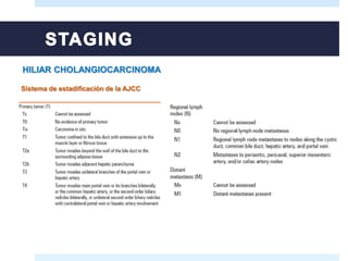HILIAR CHOLANGIOCARCINOMA
Sistema de estadificación de la AJCC
 
