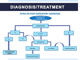 INTRA OR POST-OPERATORY DIAGNOSIS
POSTOPERATORY
DIAGNOSIS OF
GALLBLADDER CANCER
T2, T3, T4
ESTADIFICACIÓN
M1
Tratamiento paliativo
No más tratamiento si
los márgenes son
negativos
Colecistectomía radical
Resecable
T1a
T1
Re-exploración
T1b
No resecable
 