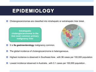  Cholangiocarcinomas are classified into intrahepatic or extrahepatic hilar distal .
 It is 9a gastroenterology malignancy common.
 The global incidence of cholangiocarcinoma is heterogeneous.
 Highest incidence is observed in Southeast Asia , with 96 cases per 100,000 population
 Lowest incidence iobserved in Australia , with 0.1 cases per 100,000 population .
Intrahepatic
cholangiocarcinoma is the
2nd most common primary
malignancy liver
 