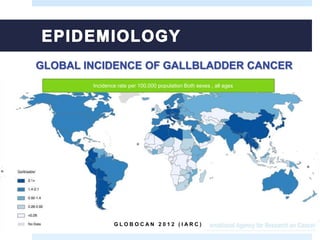 GLOBAL INCIDENCE OF GALLBLADDER CANCER
G L O B O C A N 2 0 1 2 ( I A R C )
Incidence rate per 100,000 population Both sexes , all ages
 
