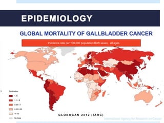 GLOBAL MORTALITY OF GALLBLADDER CANCER
G L O B O C A N 2 0 1 2 ( I A R C )
Incidence rate per 100,000 population Both sexes , all ages
 